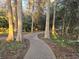 Walking trail through a park with trees and green space for residents to exercise or enjoy nature at 811 Helmsman Way, Palm Harbor, FL 34685