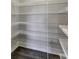 Walk-in pantry offers ample shelving for organized storage at 10909 Observatory Way, Tampa, FL 33647
