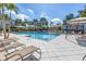 Stunning community pool surrounded by palm trees and lounge chairs at 1109 Lady Gouldian Ct, Tampa, FL 33613