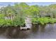Community waterfront boat dock with lush tropical landscaping and waterway access for residents at 1204 Blackrush Dr, Tarpon Springs, FL 34689