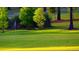 Picturesque view of a pristine golf course with manicured greens and mature trees, providing a tranquil setting at 2297 Lark E Cir # E, Palm Harbor, FL 34684