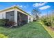 A beautiful backyard features lush green grass, manicured landscaping, and a screened lanai for outdoor enjoyment at 31046 Lindentree Dr, Wesley Chapel, FL 33543