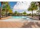 Large swimming pool surrounded by many palm trees and lounge chairs under cabanas at 31046 Lindentree Dr, Wesley Chapel, FL 33543