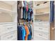 Custom walk-in closet with ample shelves, drawers and well-organized storage space at 31046 Lindentree Dr, Wesley Chapel, FL 33543