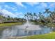 Pond with a water feature and palm trees and blue sky in a beautiful community at 4043 Rocky Shores Dr, Tampa, FL 33634