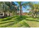 Expansive backyard featuring lush green grass and mature palm trees that provide ample shade at 681 Jasmine S Way, St Petersburg, FL 33705