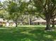 Spacious front lawn features lush green grass, mature trees, and multiple homesites at 2297 Lark E Cir # E, Palm Harbor, FL 34684