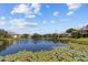 Scenic view of a tranquil pond surrounded by lush landscaping and residential buildings at 10265 Gandy N Blvd # 1203, St Petersburg, FL 33702