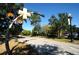 Unique public art installation along a walkway, set against a backdrop of trees and buildings at 1681 Sparkling Ct, Dunedin, FL 34698