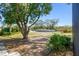 Expansive backyard featuring mature trees and lush greenery, offering a serene and private outdoor oasis at 1751 Sutton Pl, Dunedin, FL 34698