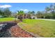 Landscaped yard with palm trees that surround the house at 27930 Ravens Brook Rd, Wesley Chapel, FL 33544