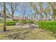 Community picnic area surrounded by lush greenery and mature shade trees at 3638 Trafalgar Way # 103, Palm Harbor, FL 34685