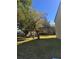 Backyard view with lawn and scattered trees, adjacent to condo building at 4215 E Bay Dr # 1701B, Clearwater, FL 33764