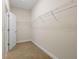 Spacious walk-in closet with shelving and carpet flooring at 5807 Silver Sun Dr, Apollo Beach, FL 33572