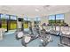 Well-equipped gym with state-of-the-art fitness machines and scenic views at 1214 Godavari Way, Wesley Chapel, FL 33543