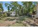 Exterior shot of a backyard and detached unit surrounded by trees at 12519 Cambridge Ave, Tampa, FL 33624