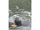 Gentle manatee enjoys fresh water in natural Florida habitat at 137 11Th E St, Tierra Verde, FL 33715