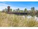 Picturesque Union Park wooden bridge over a pond, surrounded by natural landscaping at 1435 Montgomery Bell Rd, Wesley Chapel, FL 33543