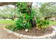 Professionally landscaped area around the base of a tree featuring various plants, rocks and mulch at 36745 Kimela Ave, Zephyrhills, FL 33542