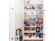Organized pantry with stocked shelves, showcasing storage space in this home at 5546 Drexel Rd, Land O Lakes, FL 34638