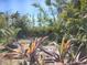 Lush backyard featuring tropical foliage and a tranquil setting at 1044 Virginia Dr, Sarasota, FL 34234