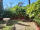 Landscaped backyard with bamboo hedges and a bird bath create a natural privacy screen at 1044 Virginia Dr, Sarasota, FL 34234