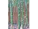 Close-up of vibrant green Buddha belly bamboo stalks adding a tropical touch to the property at 1044 Virginia Dr, Sarasota, FL 34234