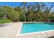 A backyard swimming pool surrounded by mature tropical landscaping, providing a private and serene outdoor experience at 1755 Mccauley Rd, Clearwater, FL 33765