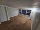 Carpeted basement featuring a series of windows, white painted trim and baseboards, and a standing lamp at 2484 Roberta St, Largo, FL 33771