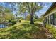 The backyard has mature trees and overlooks the water and landscaping at 3462 Sutton Pl, Palm Harbor, FL 34684