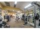 A spacious fitness center featuring a variety of weightlifting machines, free weights, and mirrored walls at 36750 Us Highway 19 N # 19308, Palm Harbor, FL 34684