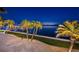 Serene waterfront view at night showcasing well-lit palm trees and a boat dock at 4998 62Nd S Ave, St Petersburg, FL 33715
