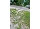 View of the grassy yard area with a street in the background at 8413 N Hamner Ave # A, Tampa, FL 33604