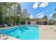 Community pool offers a refreshing escape, complete with comfortable lounge chairs and clear blue water at 12738 Wood Trail Blvd, Tampa, FL 33625