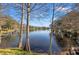 Scenic lake view framed by trees on a sunny day at 2576 Laurelwood Dr # 13C, Clearwater, FL 33763