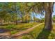View of a green single-story home with a large front yard and mature trees at 313 Jefferson S Ave, Oldsmar, FL 34677