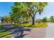 Charming street view featuring a well-maintained lawn, mature trees, and a corner lot at 313 Jefferson S Ave, Oldsmar, FL 34677