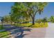Peaceful neighborhood street view of a home shaded by mature trees and foliage at 313 Jefferson S Ave, Oldsmar, FL 34677