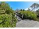 Dock with access to water, framed by lush greenery at 3327 Pineview Dr, Holiday, FL 34691