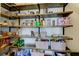 Walk-in pantry with custom shelving offering generous storage space at 34110 Jasper Stone Dr, Wesley Chapel, FL 33543
