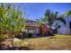 Backyard view featuring a shed, patio, and tropical vegetation at 531 Luzon Ave, Tampa, FL 33606