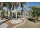 Enclosed pool with tropical landscaping and multiple palm trees surrounding the enclosure at 10302 Belltower St, Spring Hill, FL 34608