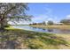 Picturesque view of the pond surrounded by lush greenery, enhancing the property's tranquility at 1205 Huntington Greens Dr, Sun City Center, FL 33573