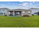 Lush green backyard featuring a covered patio and well-maintained landscaping at 1409 Tropical Oasis Ave, Plant City, FL 33565