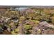 High angle shot of the homes showing the lush, dense surrounding forest and foliage in the neighborhood at 17119 Rainbow Ter, Odessa, FL 33556