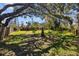 Expansive backyard features mature trees providing ample shade, ideal for outdoor enjoyment and relaxation at 17119 Rainbow Ter, Odessa, FL 33556