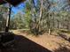 Backyard view featuring trees and foliage, with a peek at the AC unit at 17233 Dalberg Dr, Spring Hill, FL 34610