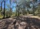 Scenic view of wooded land featuring mature trees and natural vegetation at 17233 Dalberg Dr, Spring Hill, FL 34610