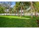 Expansive backyard featuring lush green grass, mature palm trees, and a white fence, offering privacy at 1956 Cedar Dr, Dunedin, FL 34698