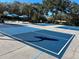 Inviting blue basketball and pickleball courts for outdoor recreation and neighborhood fun at 4216 Preserve Pl, Palm Harbor, FL 34685